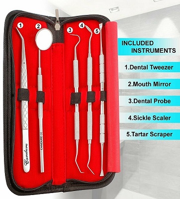 6PCS DENTAL TOOTH CLEANING KIT DENTIST SCRAPER PICK TOOL CALCULUS PLAQUE FLOS REMOVER